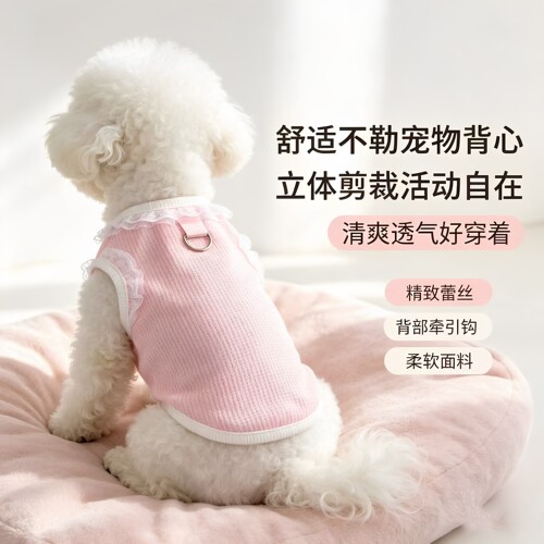 狗猫蕾丝马甲背心减少掉毛春夏秋