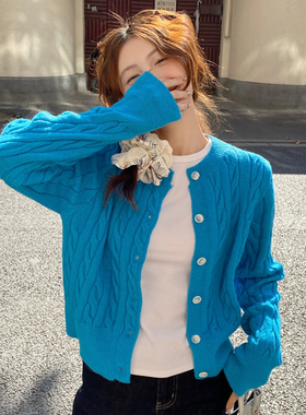 蓝色麻花针织开衫外套女2026秋季新款外搭毛衣高级感宽松打底上衣