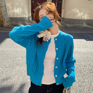 蓝色麻花针织开衫外套女2026秋季新款外搭毛衣高级感宽松打底上衣