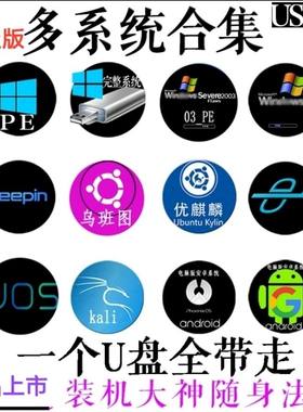 u盘版多系统合集,直接运行安卓乌班图卡利深度w10wtg随身移动系统