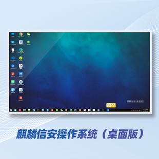 麒麟信安操作系统 32g 启动U盘