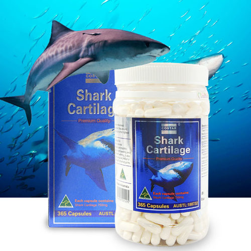 澳洲直邮 Costar 鲨鱼软骨素胶囊 中老年保健品 750mg365粒