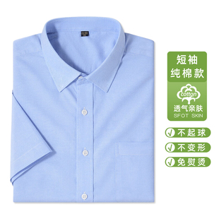 100%纯棉 衬衫 短袖 免烫亲肤透气舒适天蓝色衬衣 男夏季 商务正装