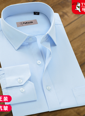 啄木鸟浅蓝色衬衫男长袖春秋免烫商务正装中年宽松大码职业装衬衣