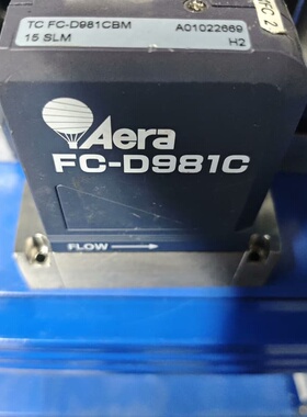 议价Aera FC-D981CBM流量计15 SLM氢气专用