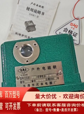 议价东港沈高户外电磁锁 型号DSW1-IIIY 220V电压通用