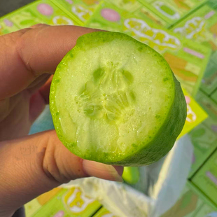 北京发出 脆甜奶油小黄瓜 脆甜嫩脆黄瓜 水果黄瓜新鲜水果礼盒
