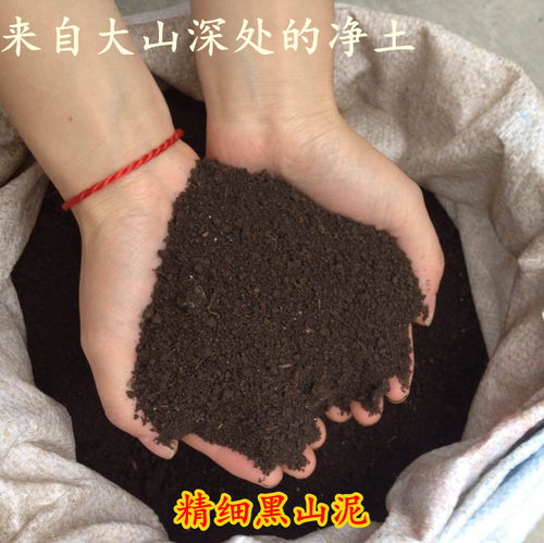 细山泥黑山泥土已过筛黄山种菜