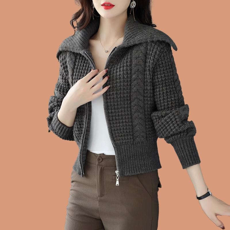 小个子开衫加厚毛衣外套女洋气秋冬2024新款配短款上衣针织打底衫