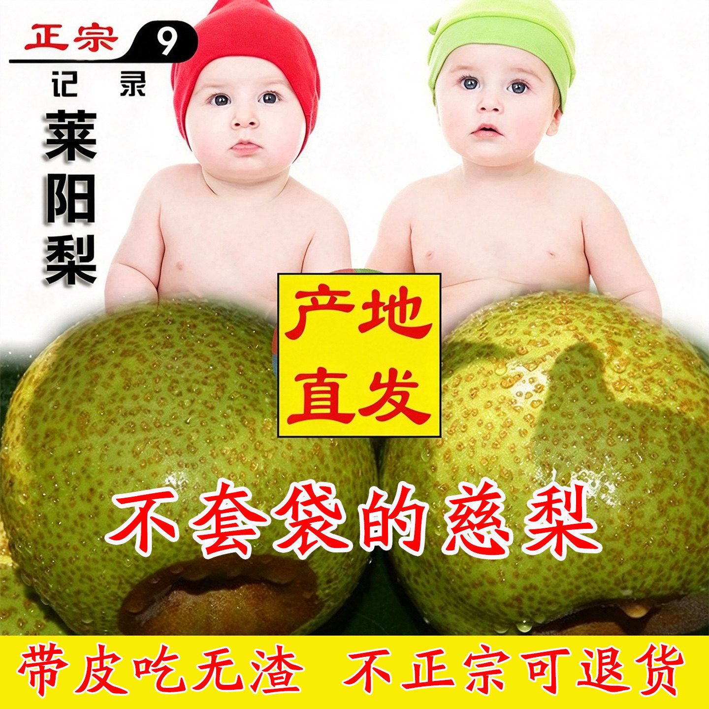 现发梨正宗莱阳梨慈梨