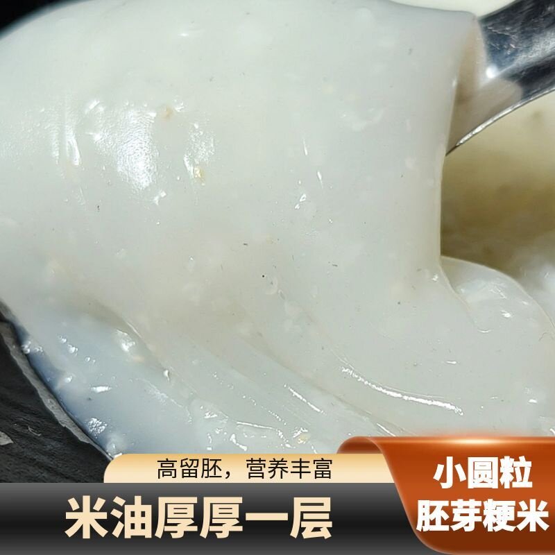 东北胚芽米大米延边圆粒粳米5斤10斤熬粥米油补津液新米留胚新米