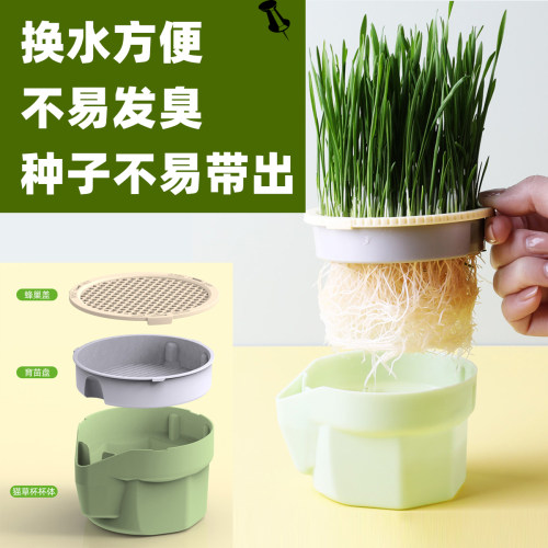 猫草种子水培无土猫草化毛排毛球磨牙玩老鼠懒人猫草猫薄荷木天蓼