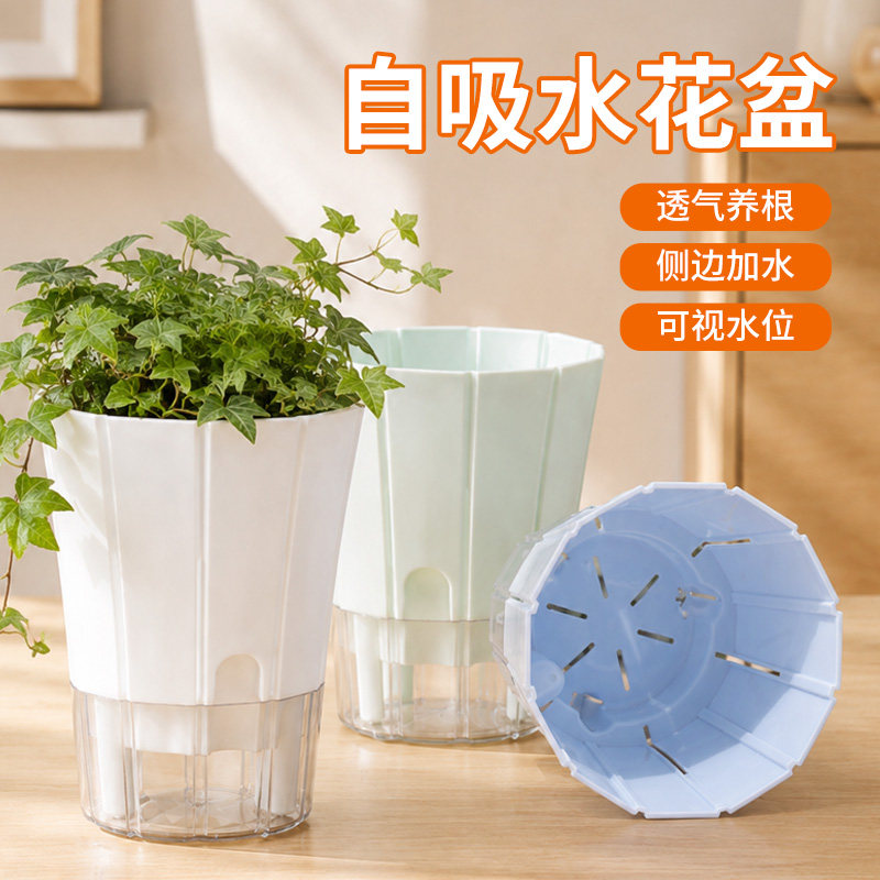 自吸水花盆透气养根可视水位