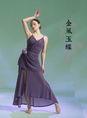 SOSO佳《金风玉蝶》复古爵士艺术优雅修身显瘦高弹力舞蹈服连衣裙