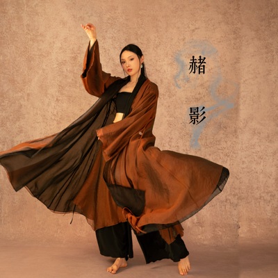 SOSO佳《赭影》国风堆领长款纱衣