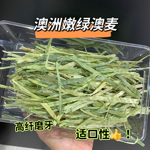 澳洲燕麦草粗纤维护肠胃磨牙适口性好 精筛手挑嫩绿澳麦