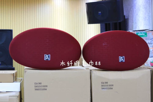 Betasui Beta3 QS1000 QS600 Egg Professional KTV Audio Professional Speaker