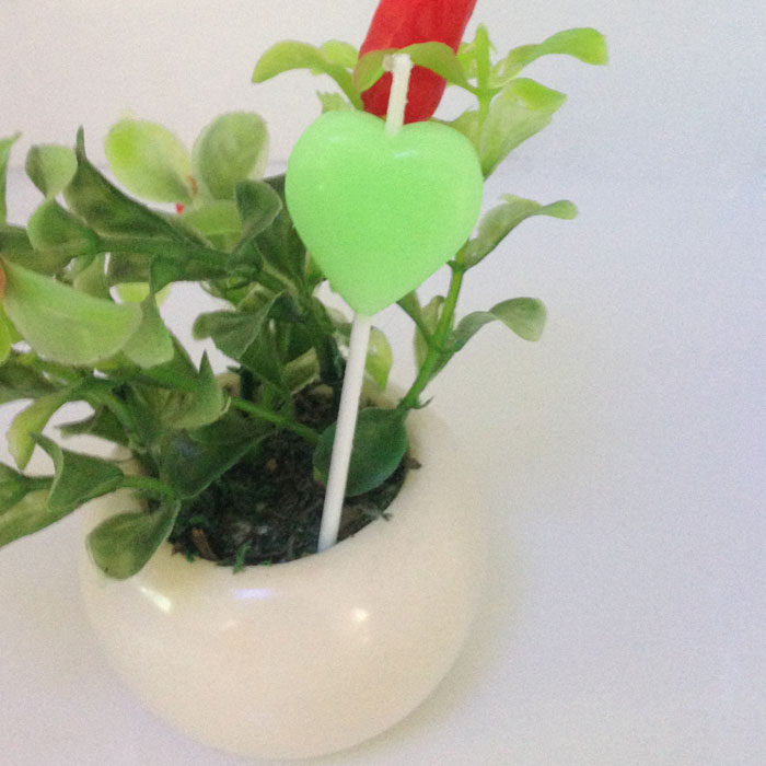 Bougie - Ref 2490381 Image 4