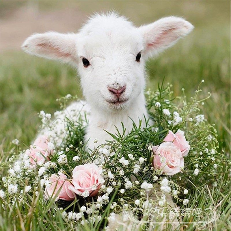 十字绣小羊小清新手工绣羊图案动物生肖钻石绣新款diy钻石画贴钻