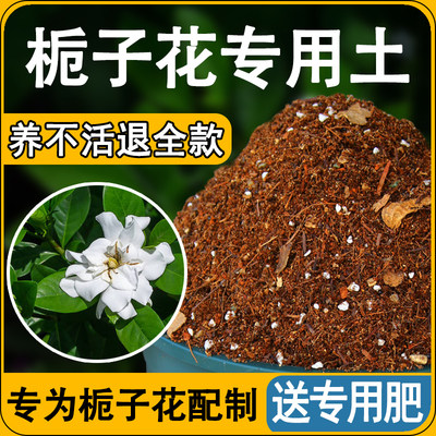 栀子花专用土疏松透气保水无虫