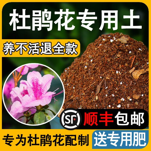 杜鹃花专用土养分足花开不断