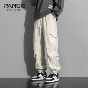 男秋季 抽绳阔腿裤 运动宽松休闲裤 大码 美式 胖胖哥设计感捏褶束脚裤