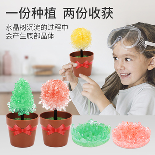 魔法水晶花水晶圣诞树水晶种植生长实验套装儿童手工科学益智礼物