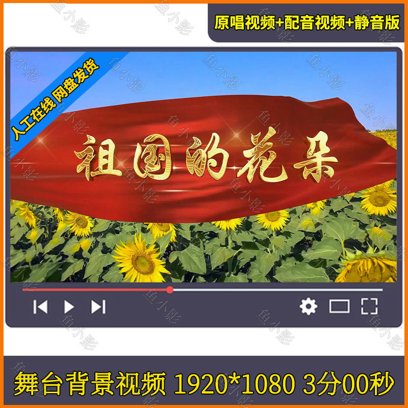 《祖国的花朵》少儿舞蹈背景视频 六一儿童节小学生舞蹈视频