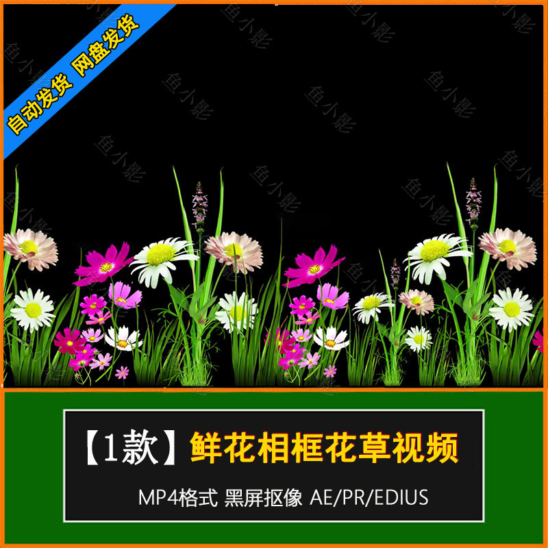 鲜花相框花草摆动摇曳动画 黑屏抠像ae/pr/fcpx抖音剪映视频素材