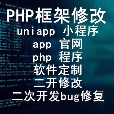 十年老师傅专业二开以及修复bug