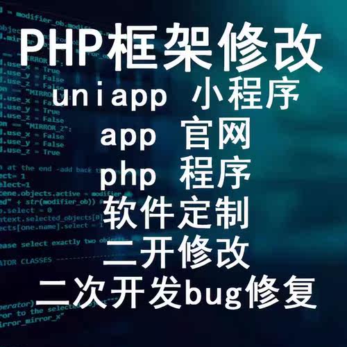 十年老师傅专业二开以及修复bug
