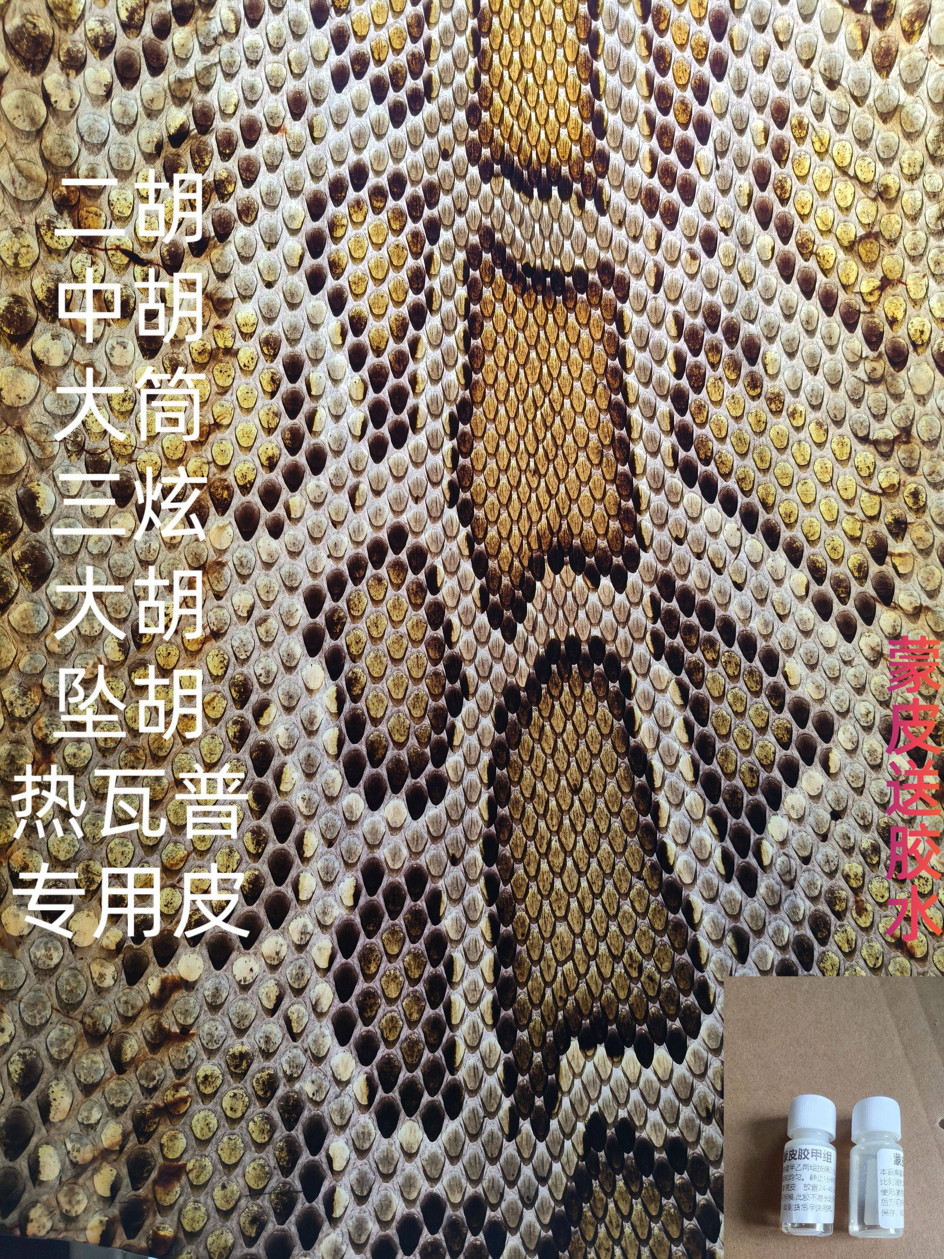 大蟒皮块三弦手鼓皮厚民族乐器专用脊背金花三弦热瓦普扎木念大胡