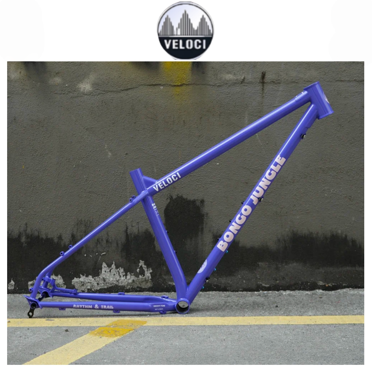 台湾 VELOCI BONGO JUNGLE 铬钼钢登山越野休旅多功能自行车架MTB