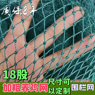 养鸡围栏网山鸡网养殖鸭鹅鸽子圈网果园菜园围网家禽圈养防逃天网
