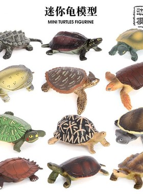 塑胶仿真桌面各种乌龟小模型