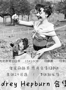 SAN Audrey Hepburn合集A 奥黛丽赫本120张照片装饰卡片空白