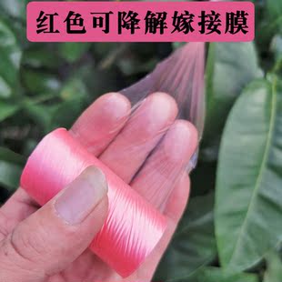 红色可降解果树嫁接膜嫁接专用膜缠绕打结款可降解芽可自剪免解绑