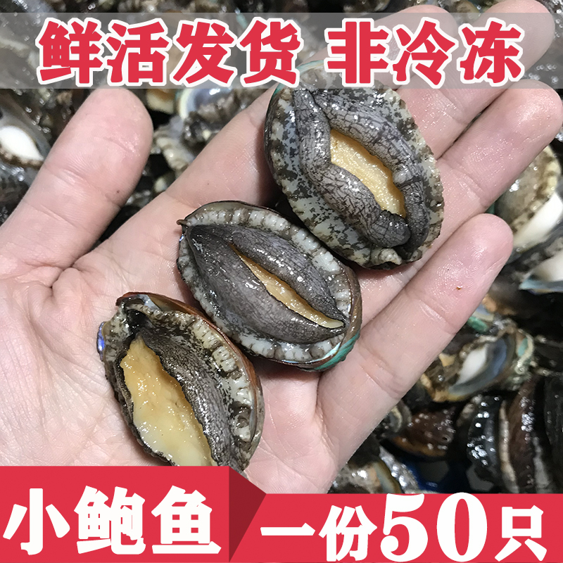 鲍鱼鲜活新鲜50只鲍鱼仔小鲍鱼海鲜水产贝类水煮红烧顺丰包邮-封面