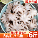 八爪鱼鲜活新鲜冷冻免清理章鱼鲜活迷你小八爪鱼鲜活海鲜水产鲜活
