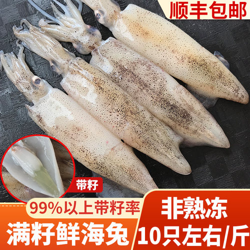 6斤带籽鲜海兔非熟冻天然籽
