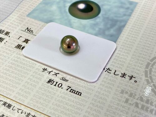 纯天然海水大溪地孔雀绿10.7Mm正圆孔后无暇含日本真科研大证裸珠