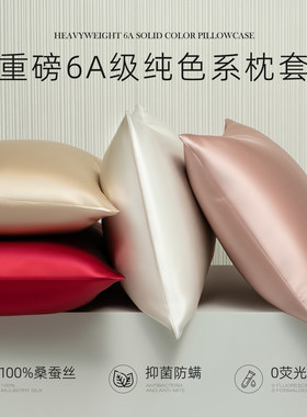 丝滑舒适~重磅6A级100桑蚕丝枕套