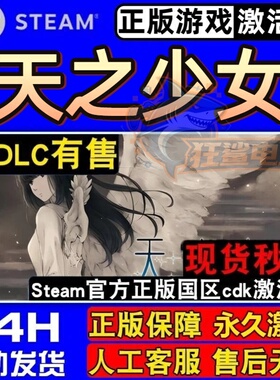 天之少女Steam激活码 CDKey入库The Shell Part III Paradiso游戏