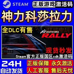 神力科莎拉力正版Steam激活码CDKey入库Assetto Corsa Rally全DLC