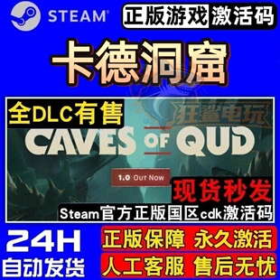卡德洞窟 正版Steam激活码CDKey入库 Caves of Qud 全DLC科幻游戏
