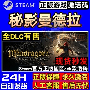 秘影曼德拉 正版Steam激活码CDKey入库全DLC类魂系列角色扮演游戏