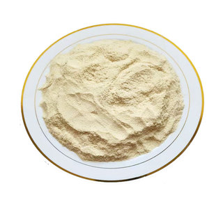 竹粉600目无杂质竹粉天然实验可降解竹木竹纤维餐具塑料家具材料