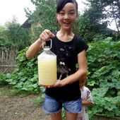 鲜酿糯米酒甜酒现榨胡子酒纯手工农家自酿客家酒酿月子酒江西水酒