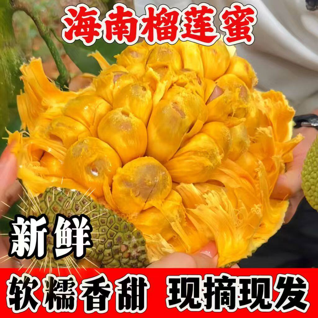 海南三亚榴莲蜜当季热带水果新鲜香甜软糯手撕湿苞榴莲一整个包邮