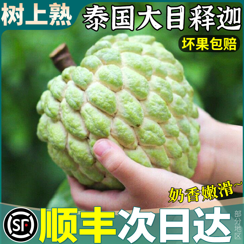 泰国进口大目释迦果香甜当季新鲜现摘水果牛奶凤梨释迦番荔枝佛头